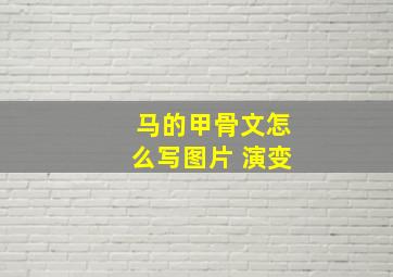 马的甲骨文怎么写图片 演变